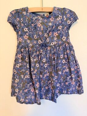 OshKosh B'gosh Blue Floral Knot-Front Dress with Pink Accents